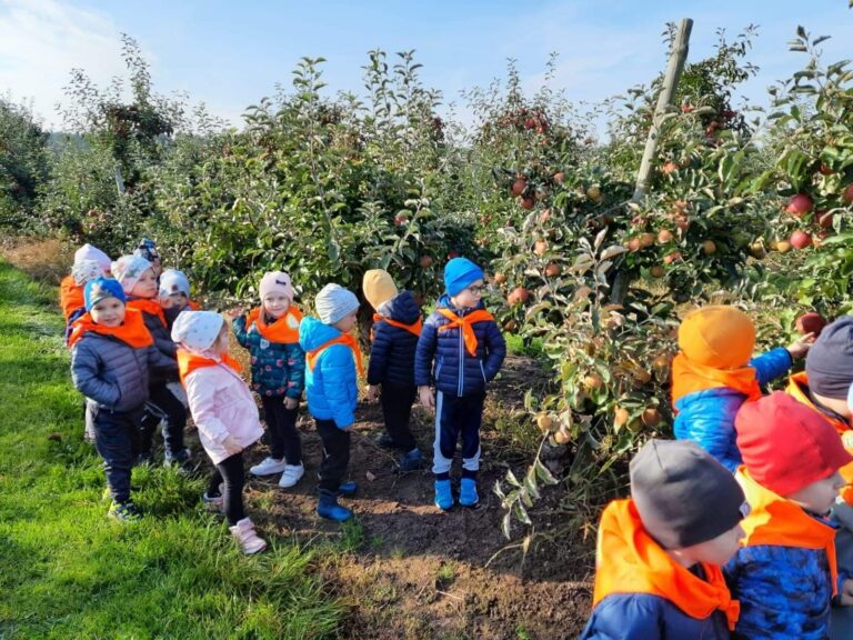 Wycieczka ,,Smerfów” do sadu owocowego