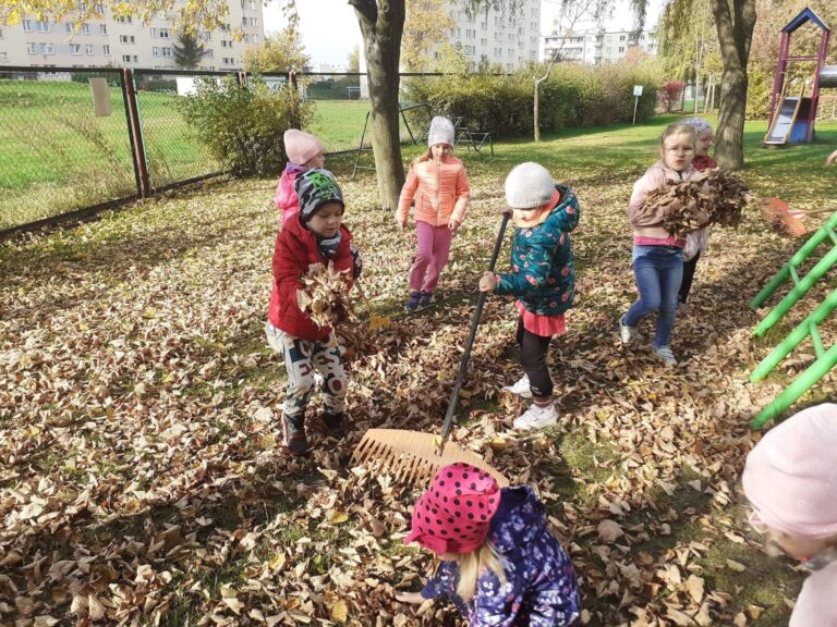Biedronki robią jesienne porządki i świetnie przy tym się bawią 😀