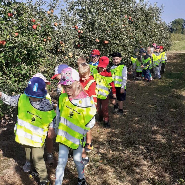 Wycieczka Smerfów i Kotków do sadu owocowego