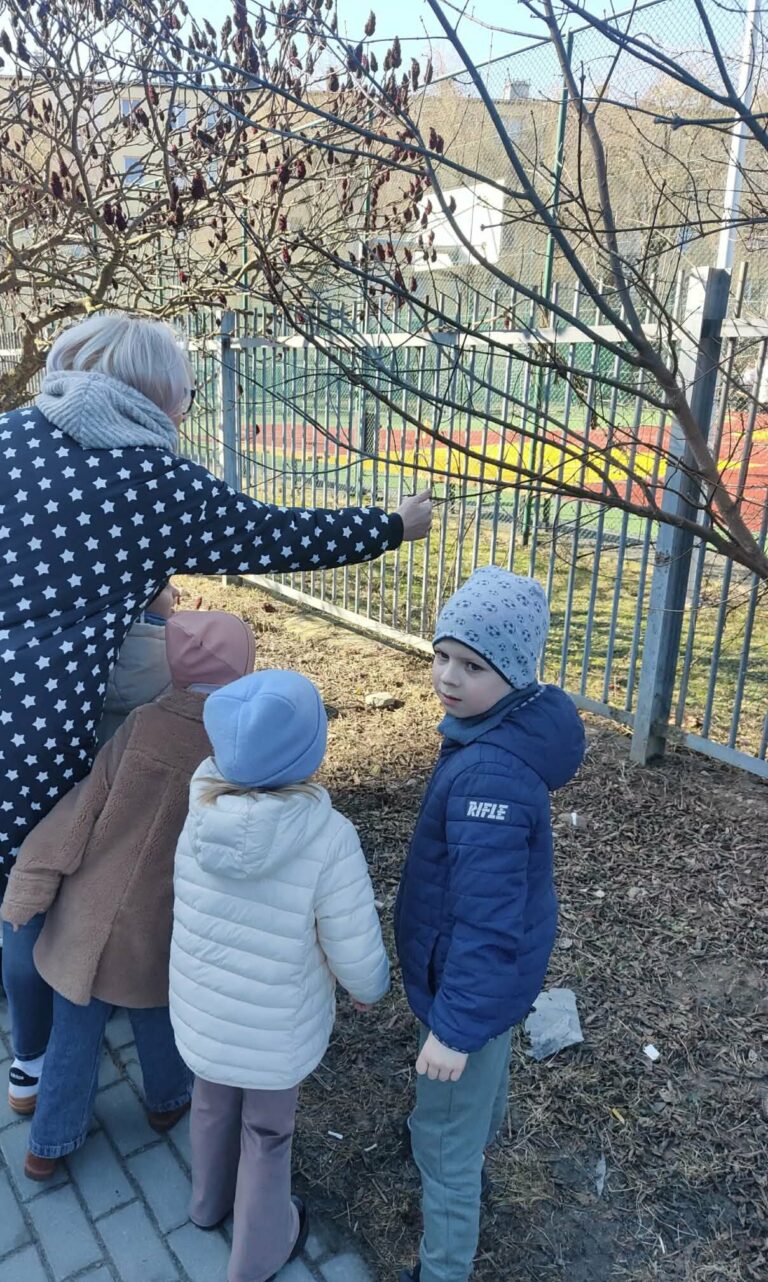 Żabki w poszukiwaniu WIOSNY