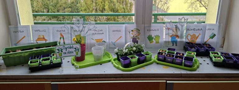 „ŻABKOWY ogródek na parapecie”