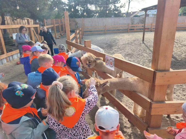 Wycieczka do Mini Zoo w Siedlcach